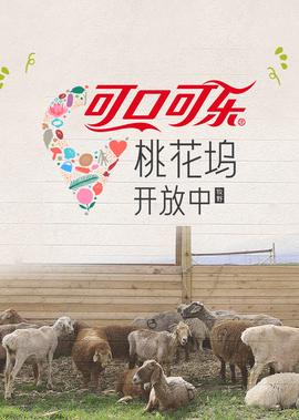 桃花坞开放中 第4季